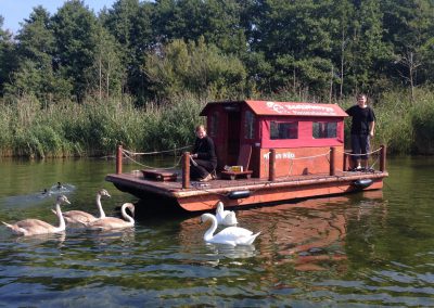 Schwäne an einem Floß